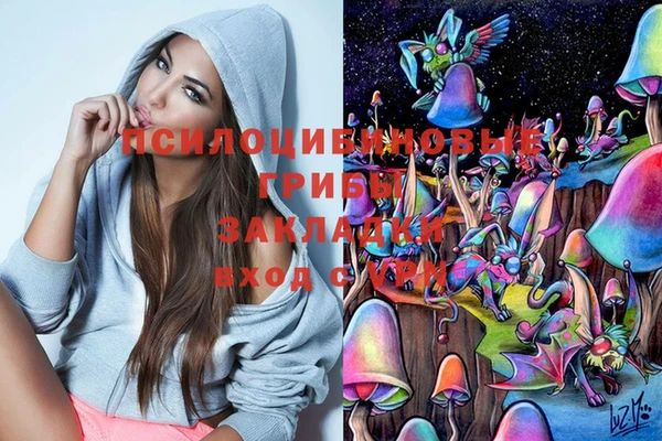 таблы Дмитровск