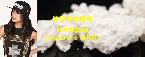 прущие грибы Корсаков