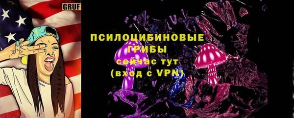 индика Остров