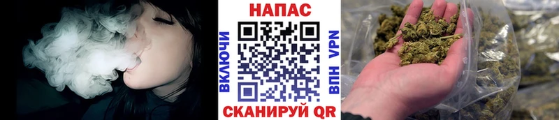 Бошки Шишки конопля Ясногорск